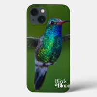 Colibri de flutuação