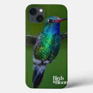 Colibri de flutuação