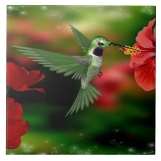 Colibri em um azulejo 6x6