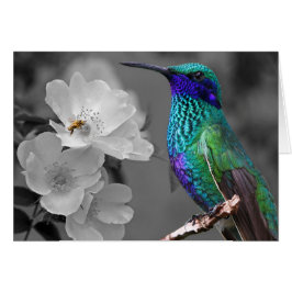 Colibri, flores e cartão coloridos da abelha