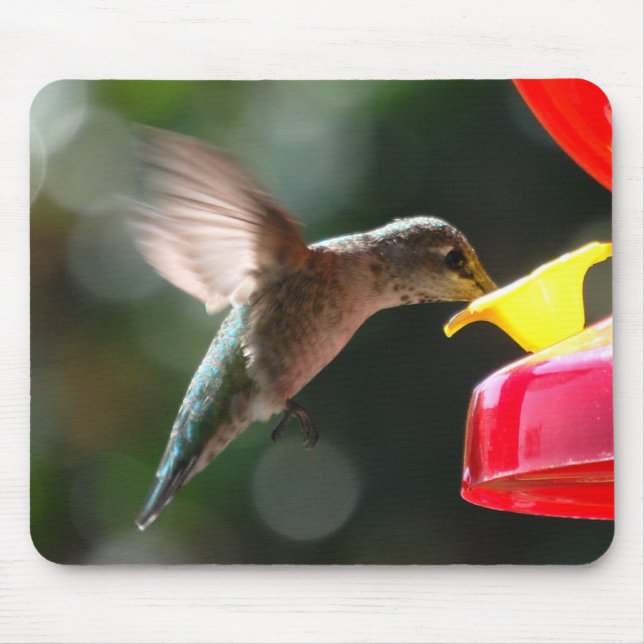 Colibri, mousepad (Frente)