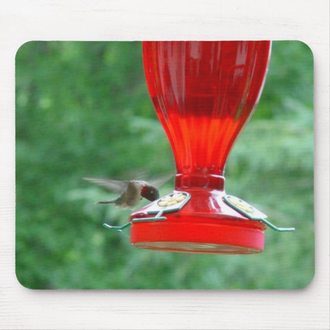 Colibri Mousepad (Frente)