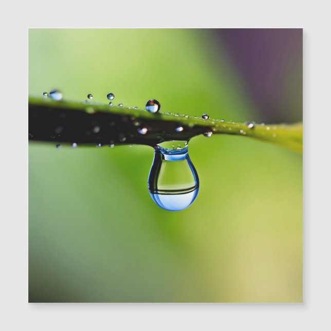 Colírio de macro (Frente)