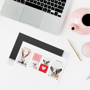 Collage Dog Photos Meu Cachorro É Meu Namorados