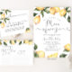 Cartão De Informações Receita de limão para a noiva ser (Criador carregado)