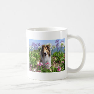 Collie áspero na caneca das flores