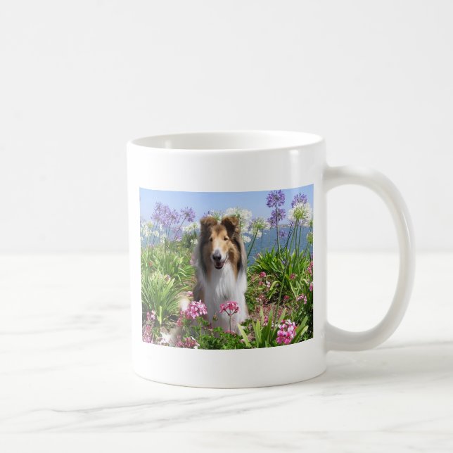 Collie áspero na caneca das flores (Direita)