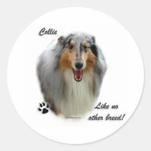 Collie Como Nenhuma Outra Raça - Adesivo