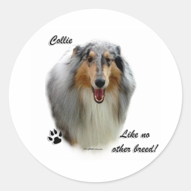 Collie Como Nenhuma Outra Raça - Adesivo (Frente)