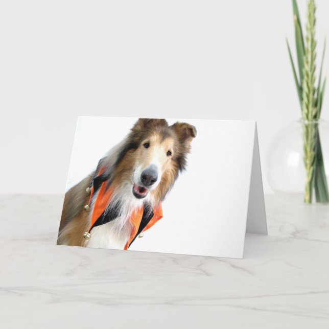Collie em cartões do colar do bobo da corte (Frente)