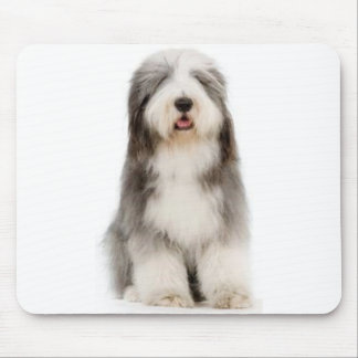 Collie farpado Mousepad