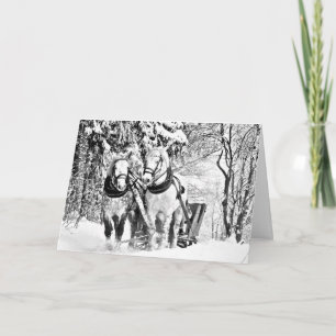 Coloração de adultos: Feliz Cartão de Natal