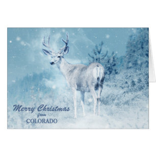 Colorado Deer no Cartão de Natal de Neve