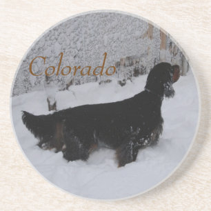 Colorado Gordon Setter na Porta copos de Snowstorm