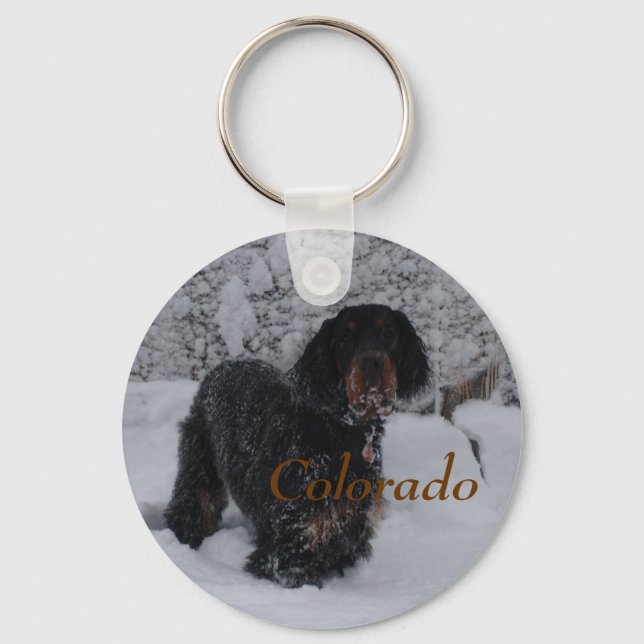 Colorado Gordon Setter Puppy Chaveiro (Frente)
