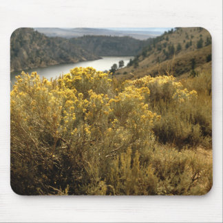 Colorful Colorado Canyon Brush Mousepad