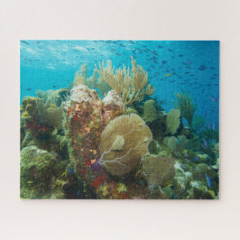 Colorida Coral Reef Jigsee Quebra-cabeça
