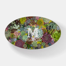 Colorida Greenerent Succulents