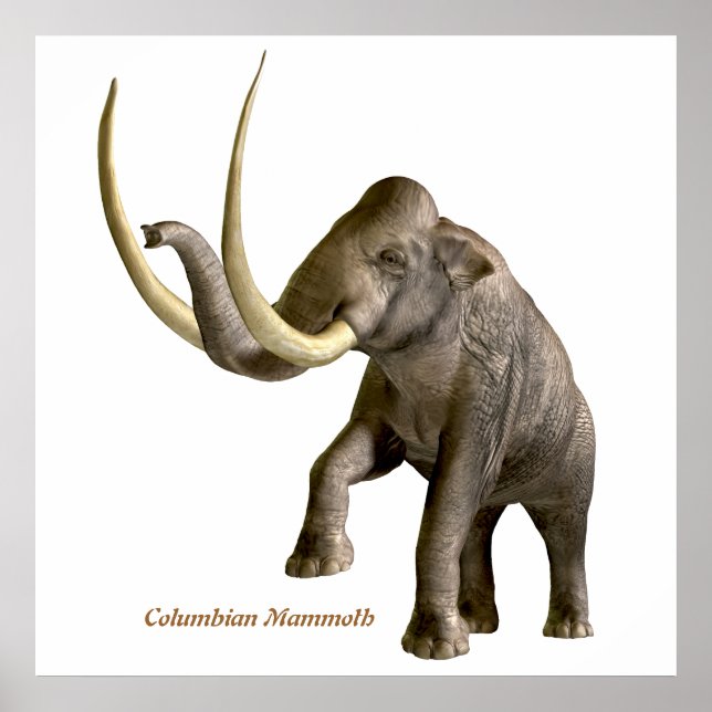 Columbian Mammoth Impressão (Frente)
