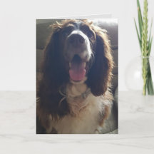 Com cartão de saudações de amor