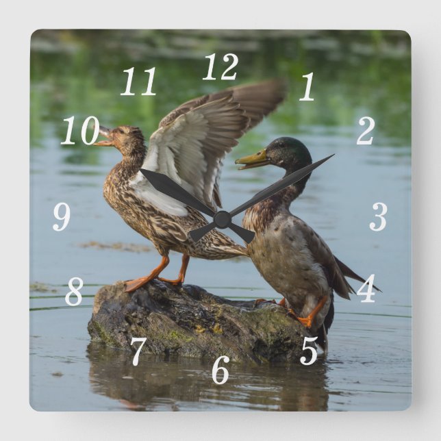 Com licença, relógio de parede (Frente)