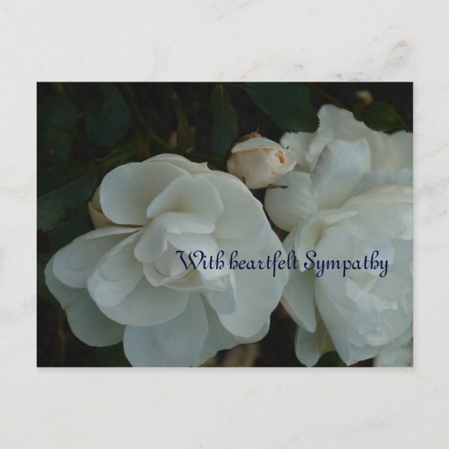 Com profunda simpatia - Cartão de condolências (Frente)