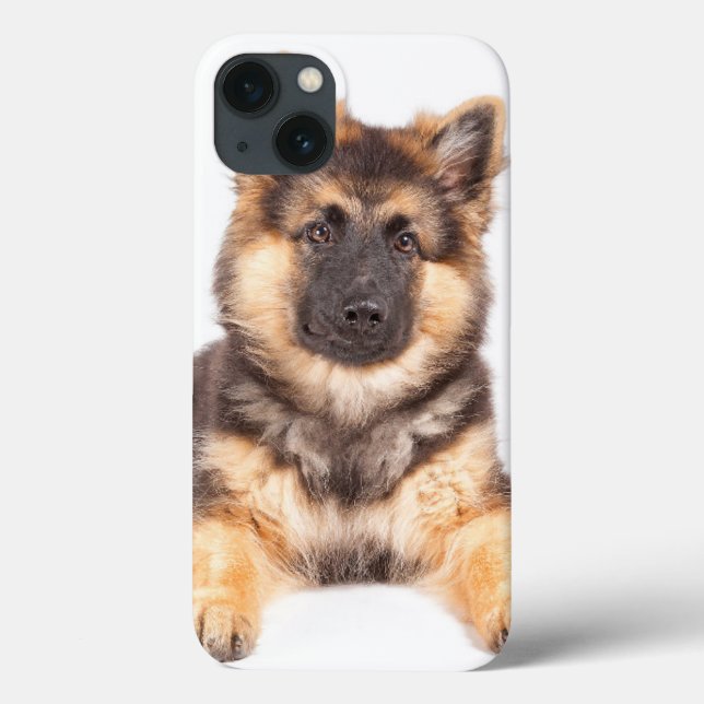 Combinação de German shepherd de Collie de Borda (Verso)