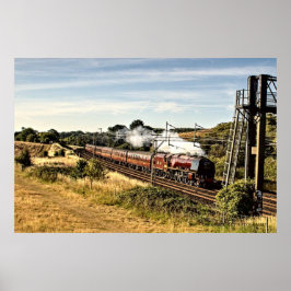 Comboio a vapor na Poster do campo (4022)