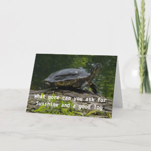 COMEDIC TURTLE DESEJA O CARTÃO "SEU ANIVERSÁRIO"