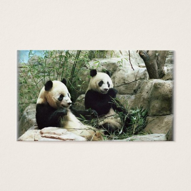 Comendo e tocando um urso de Panda (Frente)