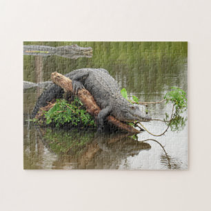 Comfy Cozy Gator Quebra-cabeça