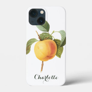 Comida de Fruta Antiga, Maçã Calville por Redoute