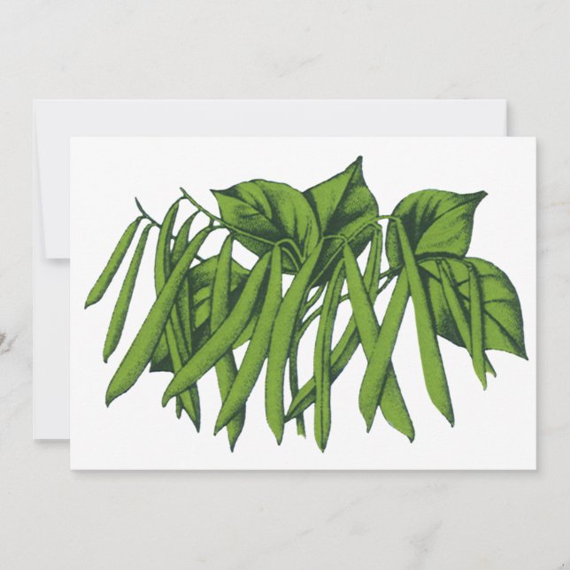 Comida de vindima, feijões verdes orgânicos (Frente)