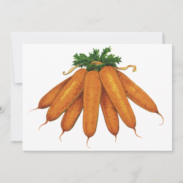 Comidas de vindima, recheados de vegetais orgânico (Frente)