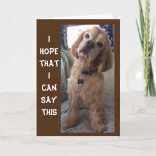 **COMIDIC SPANIEL" FELIZ Cartão de ANIVERSÁRIO "70