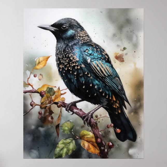Common Starling Bird Art Impressão Poster (Frente)