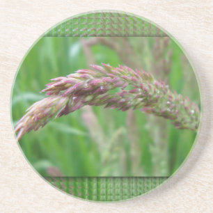 Como a grama cresce a Porta copos