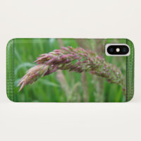 Como a grama cresce capas de iphone-rato
