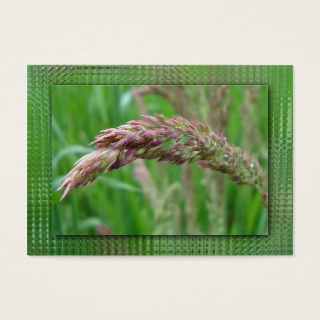 Como a grama cresce favoritos (Frente)