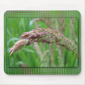 Como a grama cresce no Mousepad