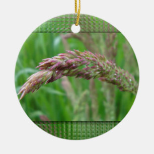 Como a grama cresce o ornamento