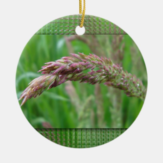 Como a grama cresce o ornamento (Frente)