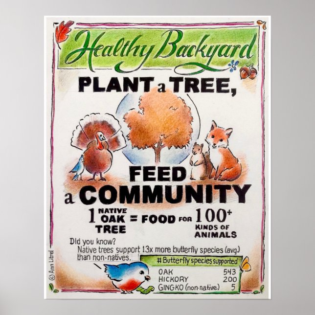 Como alimentar a vida selvagem - plantar um poster (Frente)