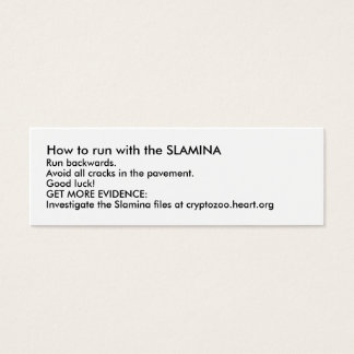 Como correr com a SLAMINA