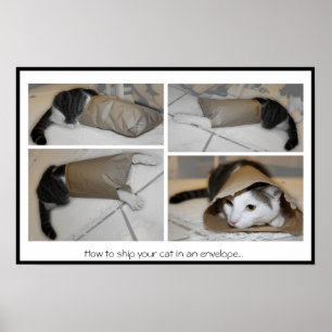 Como enviar seu gato em um impressão engraçado d
