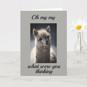 COMO VOCÊ FEZ ISSO *RODANDO CARTÃO 16?*