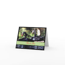 Companheiros para Cartões de agradecimentos de Swa