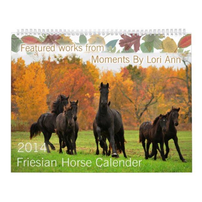 Competição do calendário do cavalo do frisão (Capa)