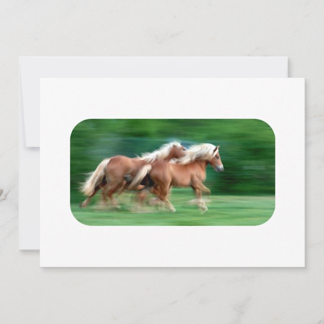 Competindo convites do Palomino (Frente)