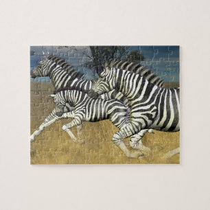Competindo listras, quebra-cabeça da zebra